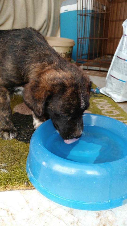 19424406_1611447232212384_135925178163179188_n