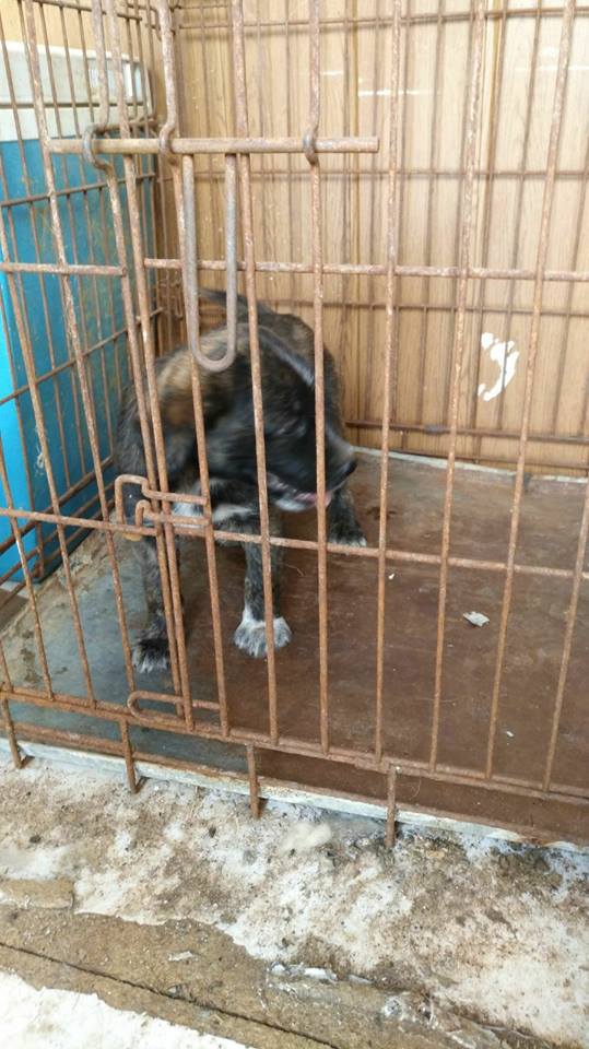 19430069_1611447295545711_8813173727877651048_n