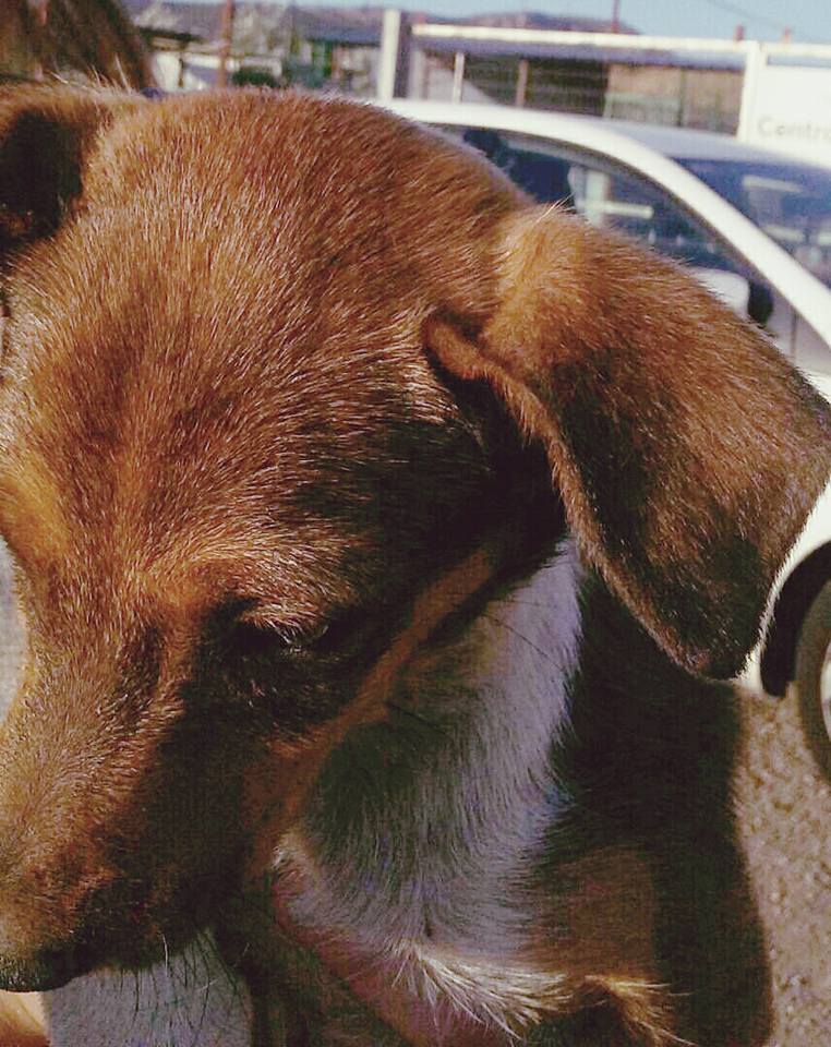 20139772_1635281943162246_6576682214911425943_n