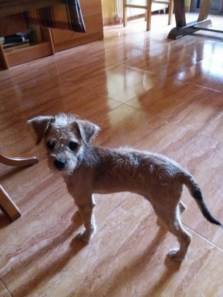 20292821_1648956698461437_3924424000020227290_n