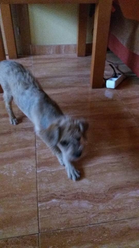 20294326_1648956671794773_7526147519840954151_n