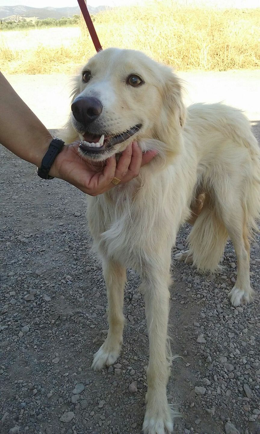 20452033_1651186208238486_2423585190882550835_o