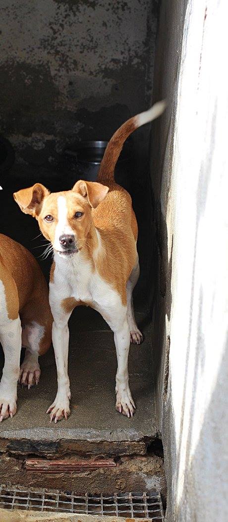 22256818_1711943085496131_4582739629357160714_o