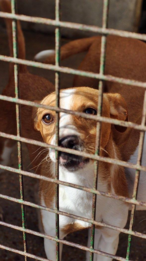 22289786_1711943032162803_6399278049206564311_o