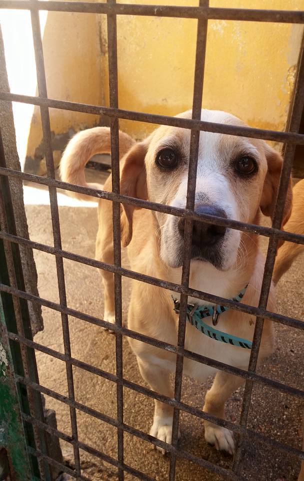 21617895_1700254366665003_6650387577540200982_n