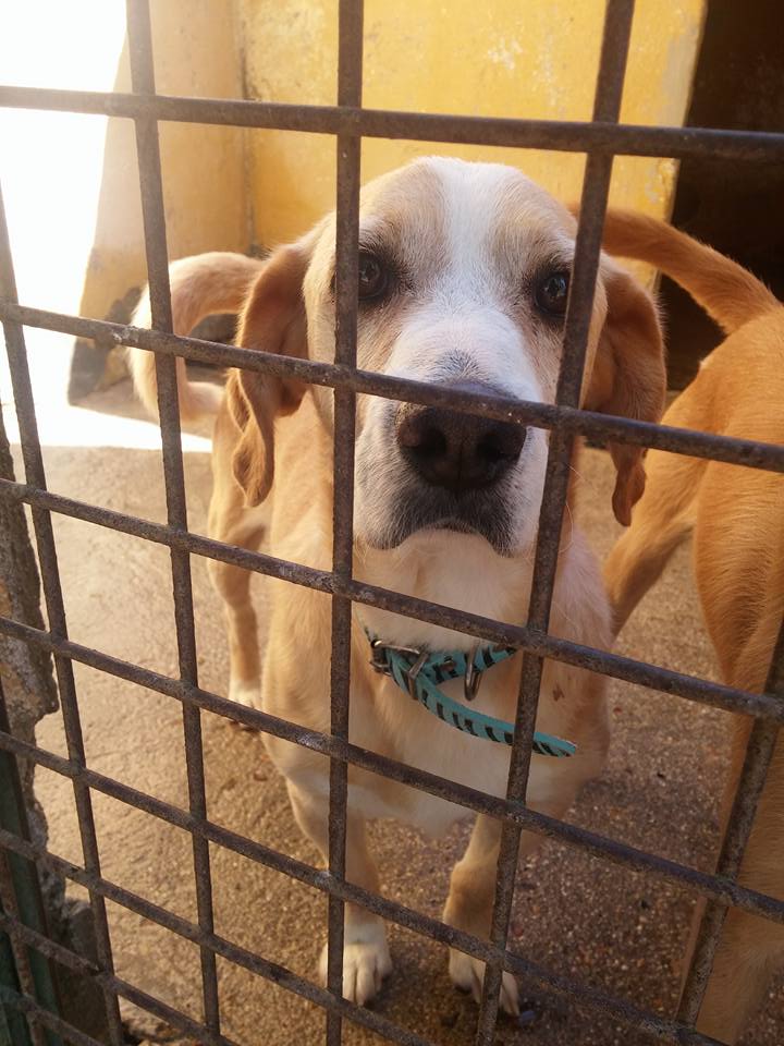 21686122_1700254313331675_5194373628612396330_n