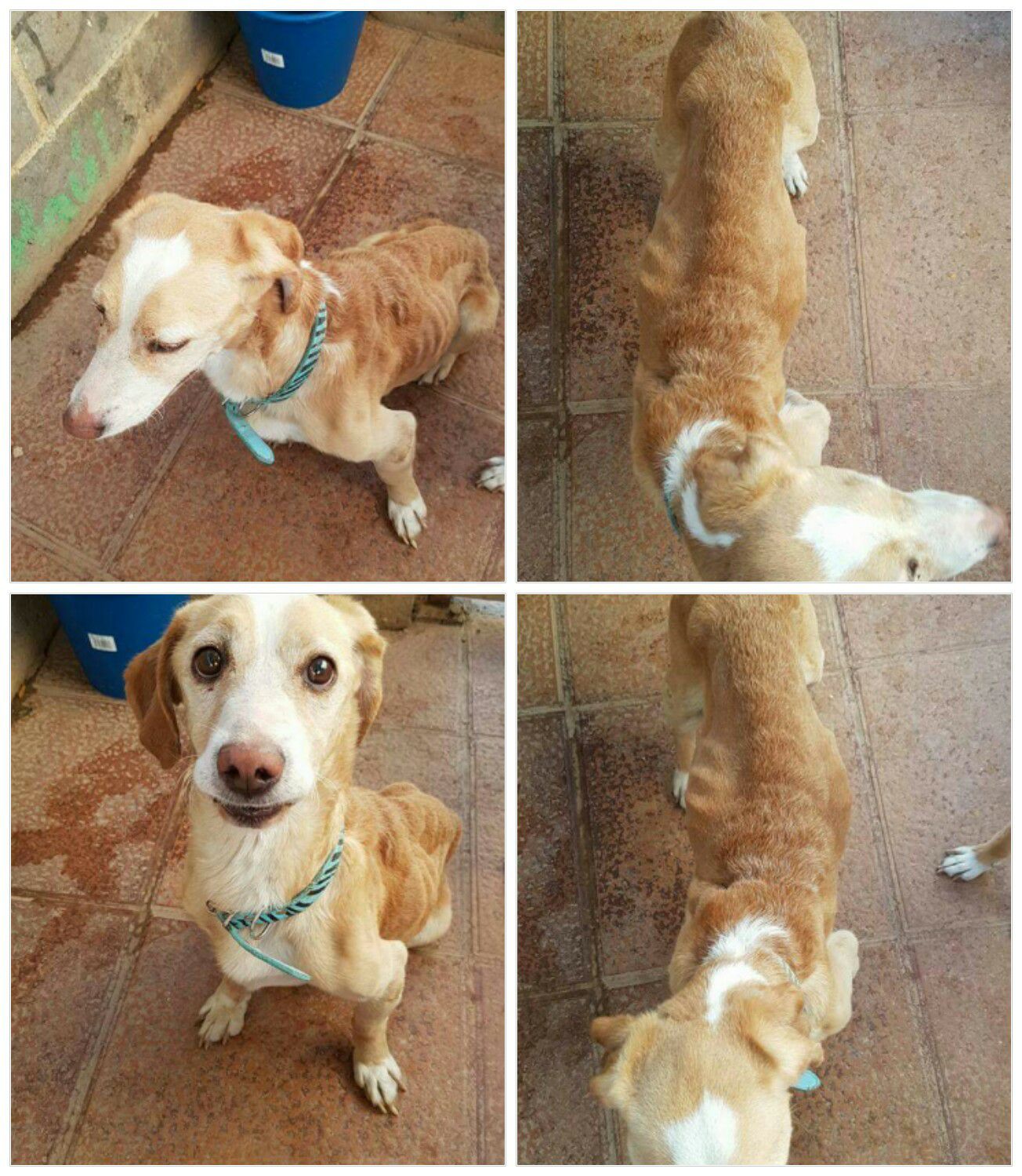 21688291_1700253326665107_8041060826836747984_o