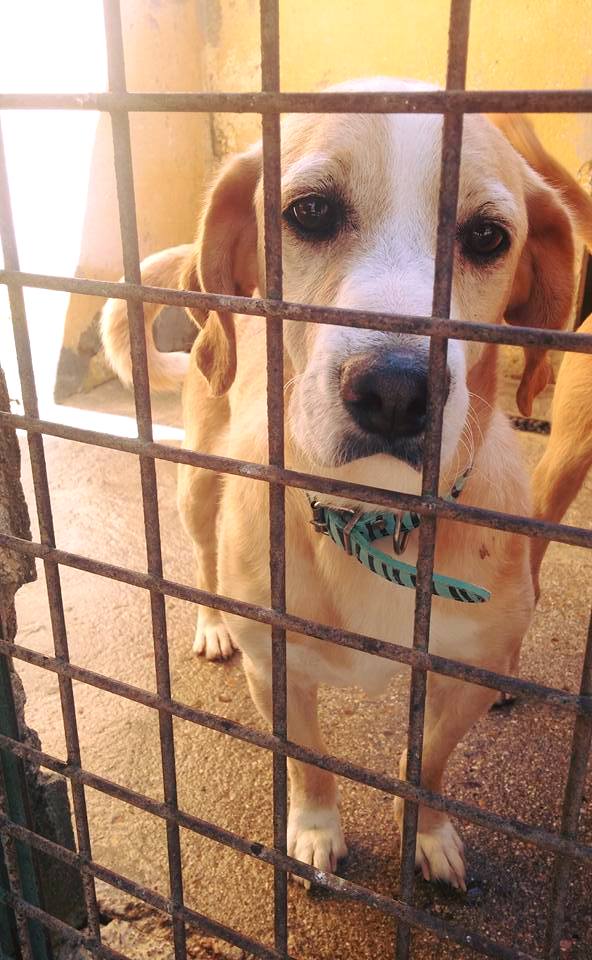 21752397_1700254276665012_1683000318931175161_n