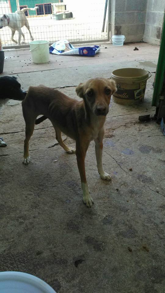 21766392_1702314649792308_5254347353482548701_n