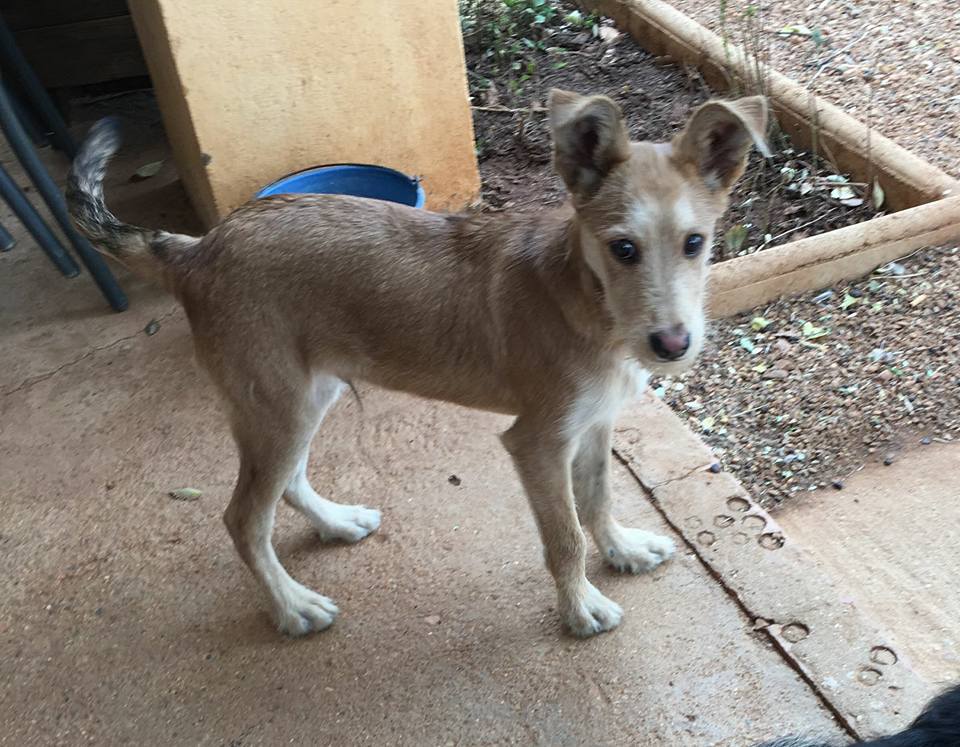 21767968_1704834356207004_1309050542614370092_n