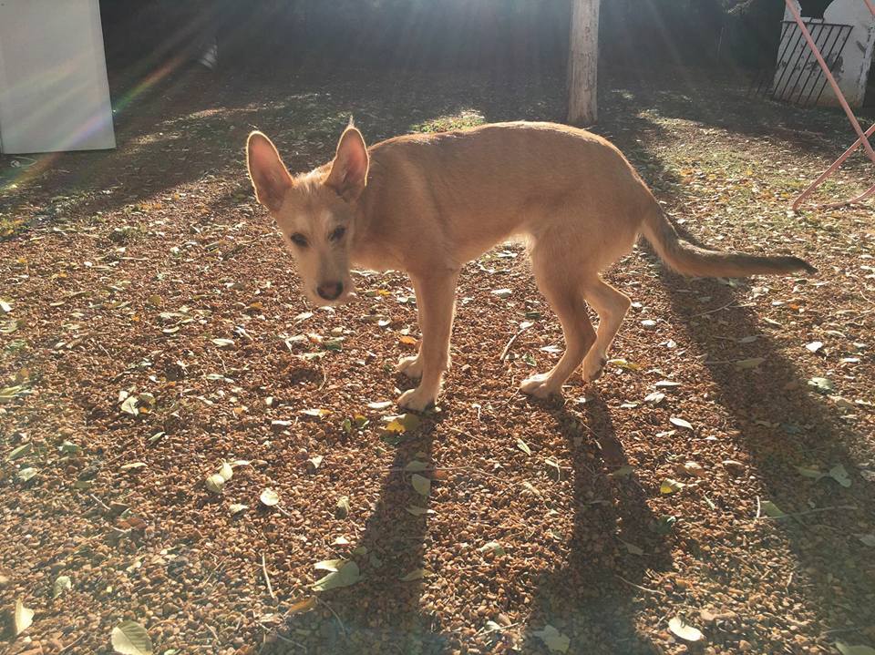 23519101_1751207371569702_5617382737162216019_n