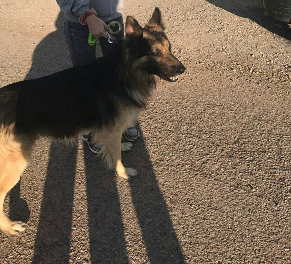 23561548_1754614417895664_3989656866952029595_n