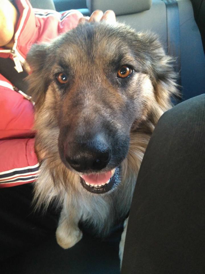 23621460_1754614507895655_2373867245534745931_n