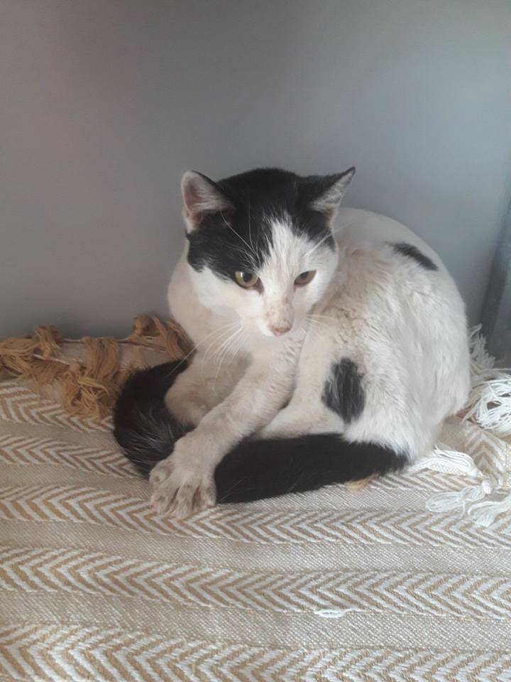 23843104_1758905604133212_259725114320766046_n