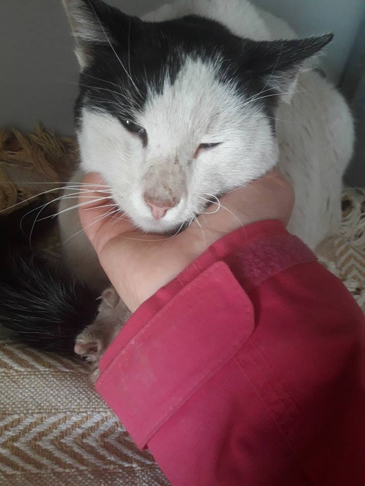 23905331_1758905627466543_2999116694715085728_n