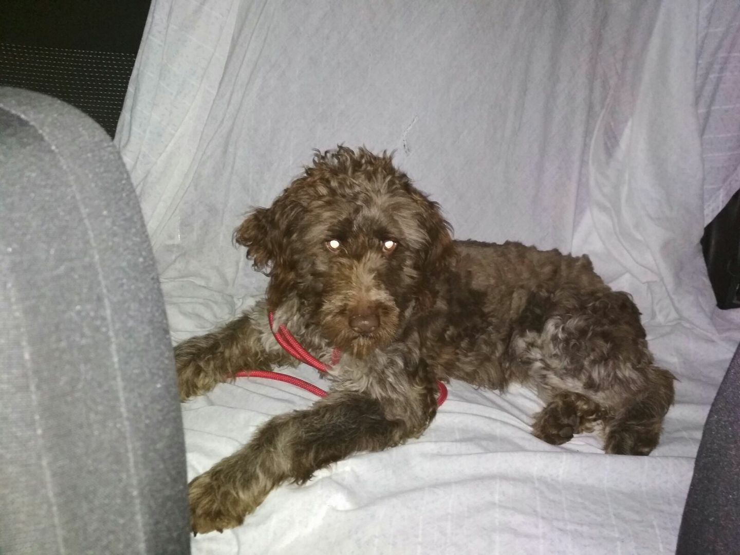 26952242_1825101900846915_2667694315750502271_o