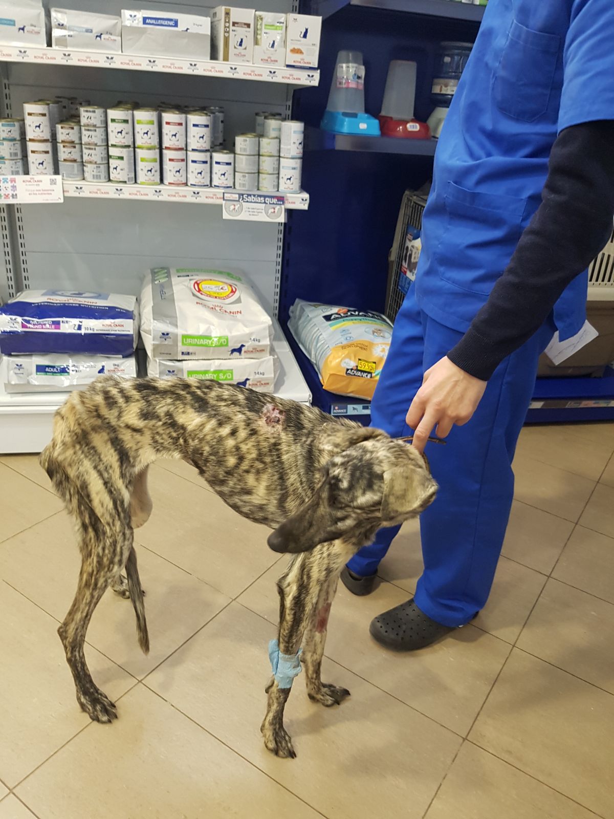 28a9f705-fba9-45fd-b293-102576ee48f6