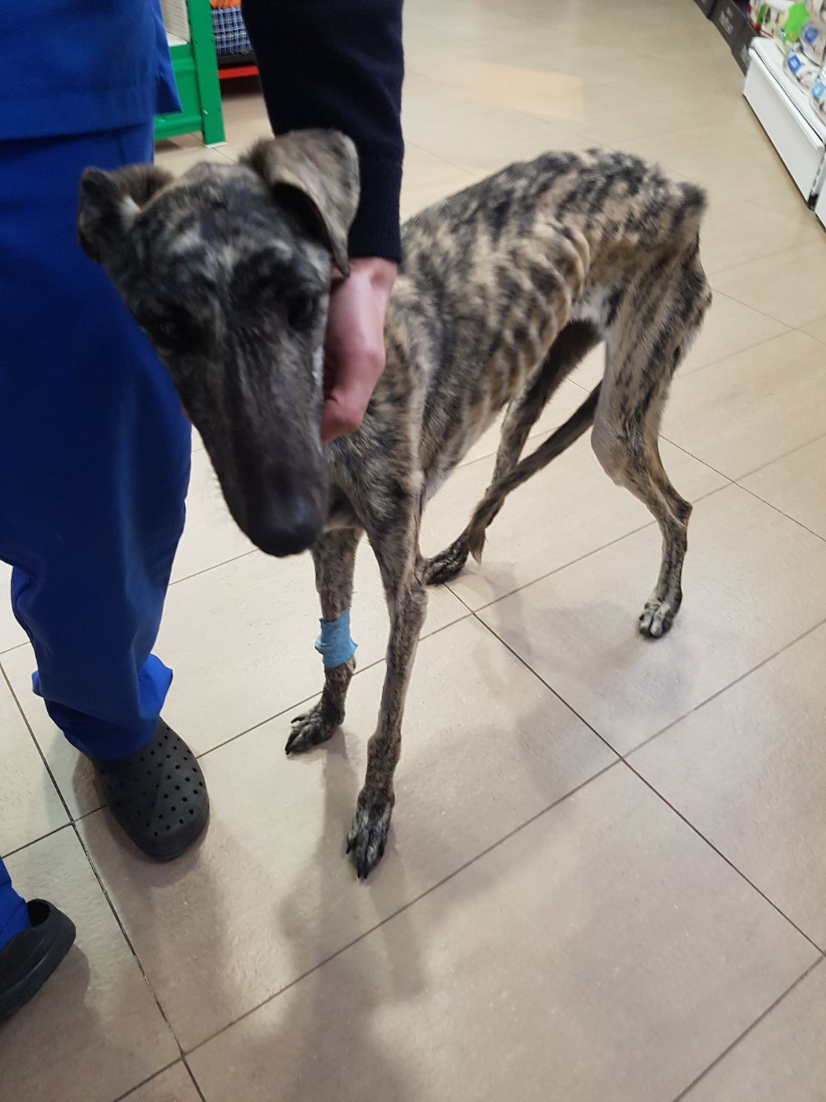 3ee07a2d-0bf3-4c50-88ff-8a6f6445ab14