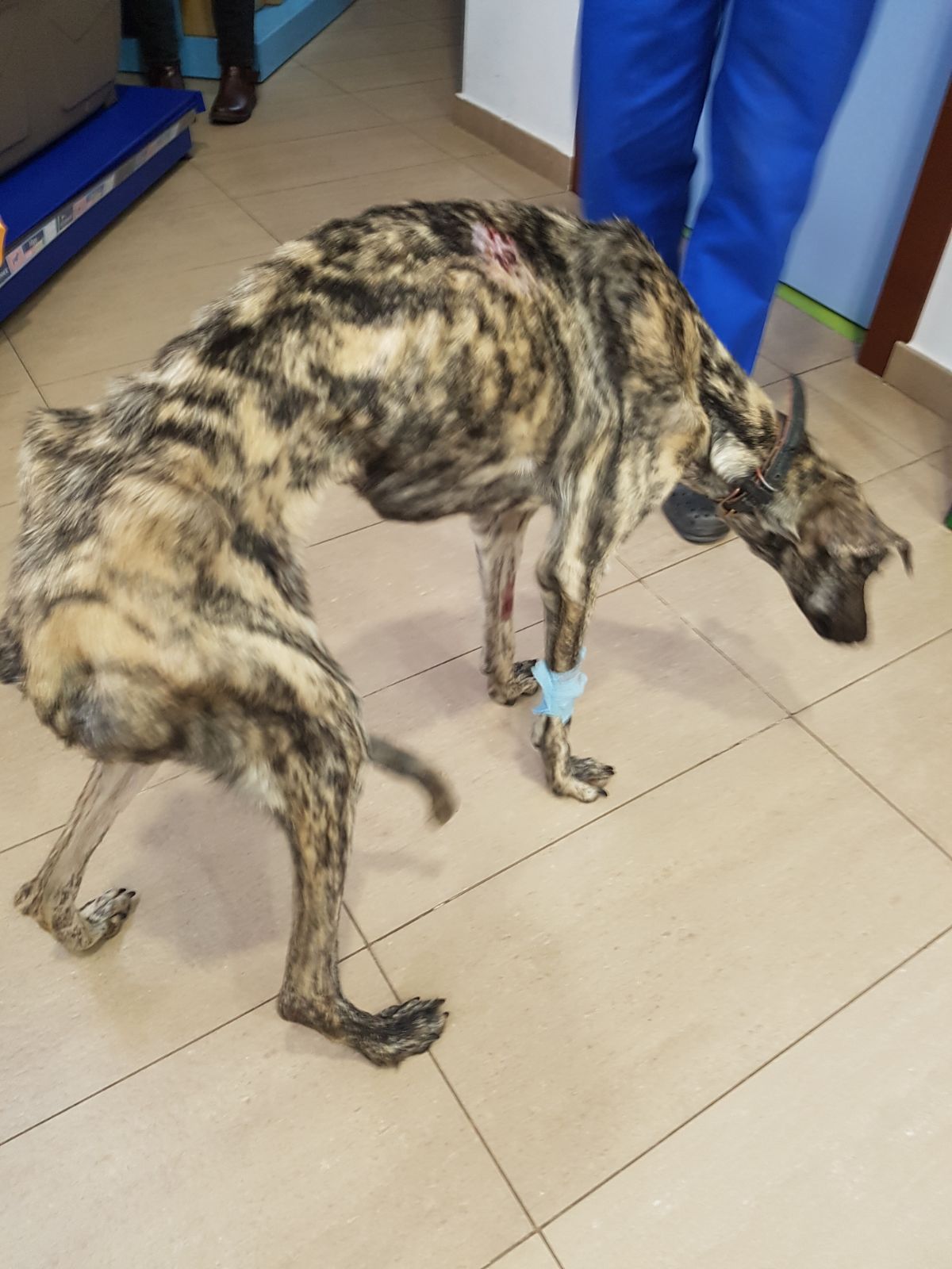 5ea640b5-5676-49ab-a8ab-5f9cbac1e4d1