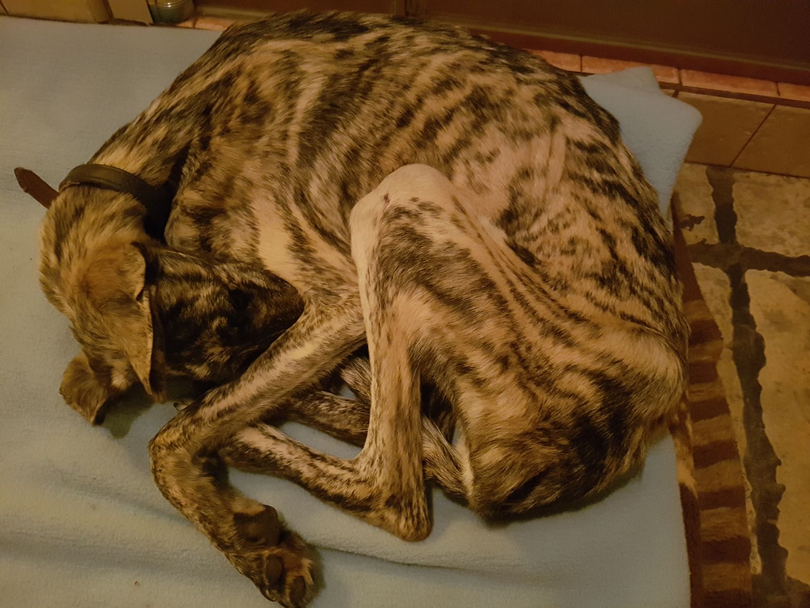 WhatsApp Image 2018-02-06 at 23.22.04