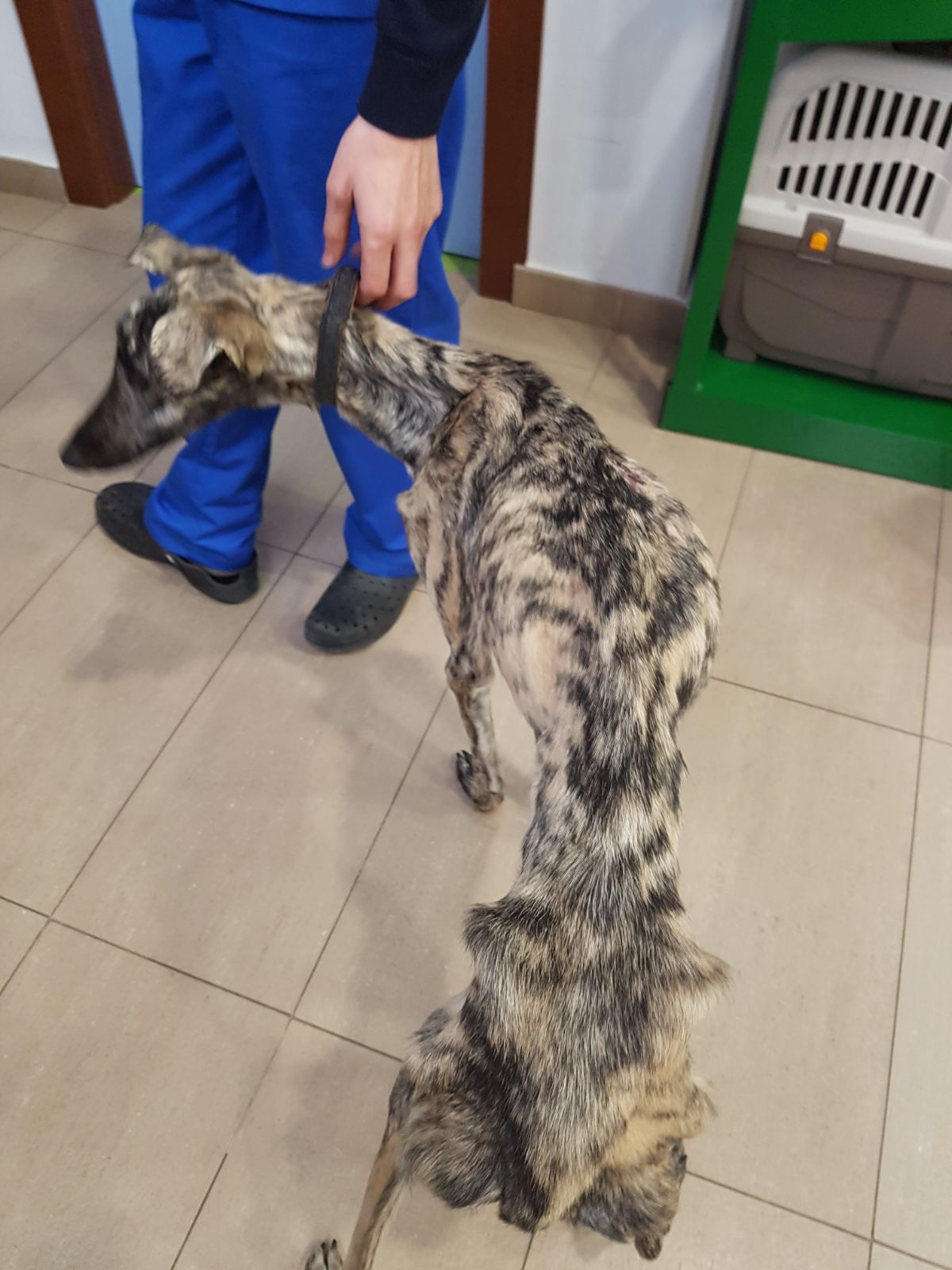 d409fae4-35cd-4fc8-bef9-9e96d1df7aed