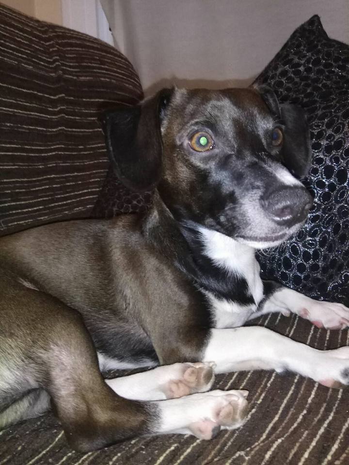 27545278_1832288363461602_8908057334227422890_n