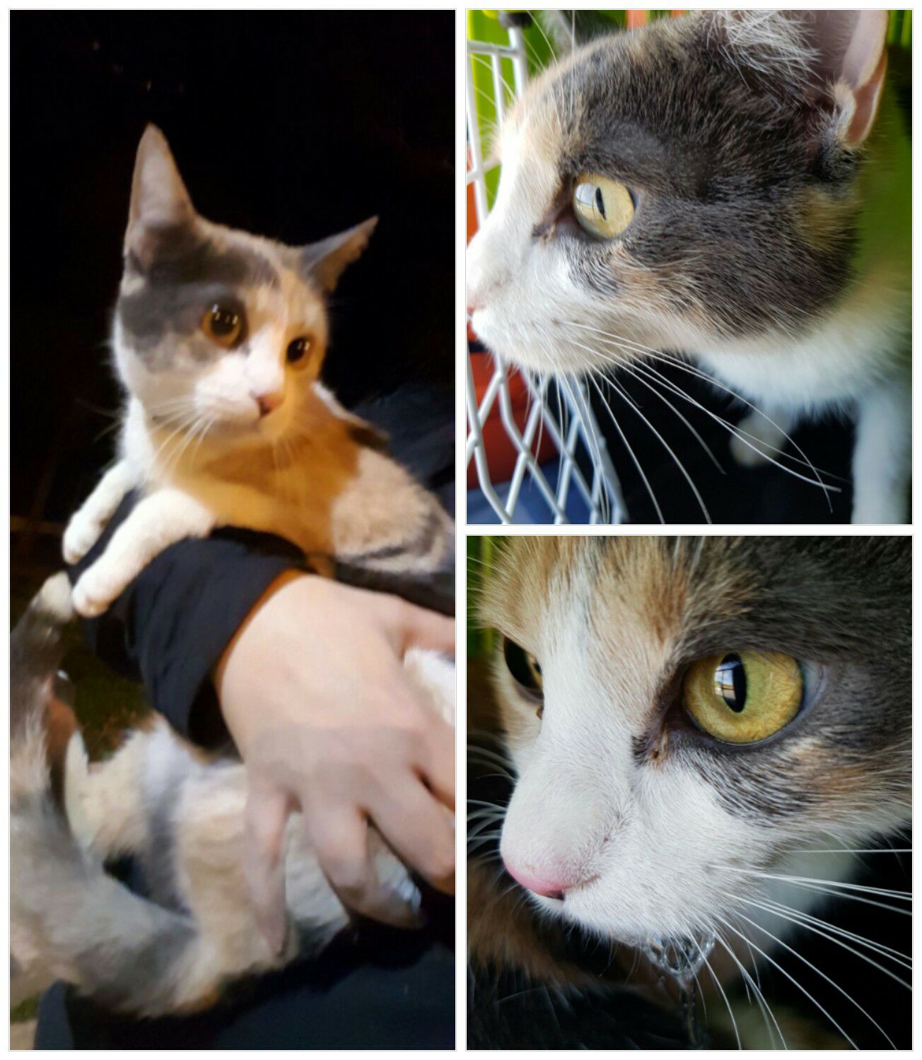 28161569_1851043648252740_6297624930025108678_o