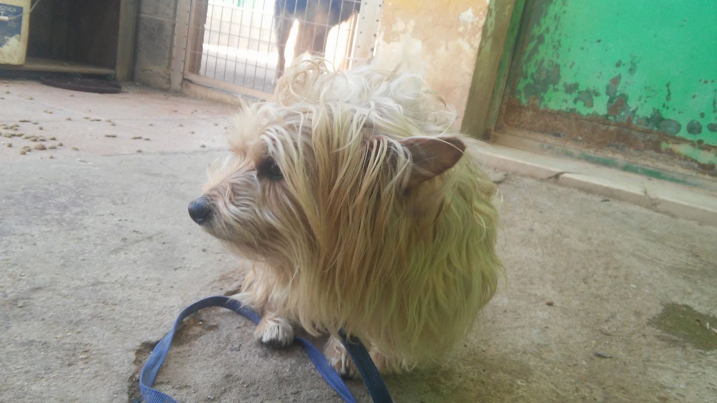 19243072_599530113739725_5153845438989809256_o