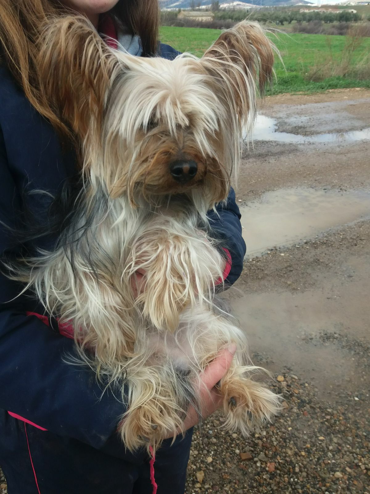 28617005_1864653883558383_5634705435543362894_o