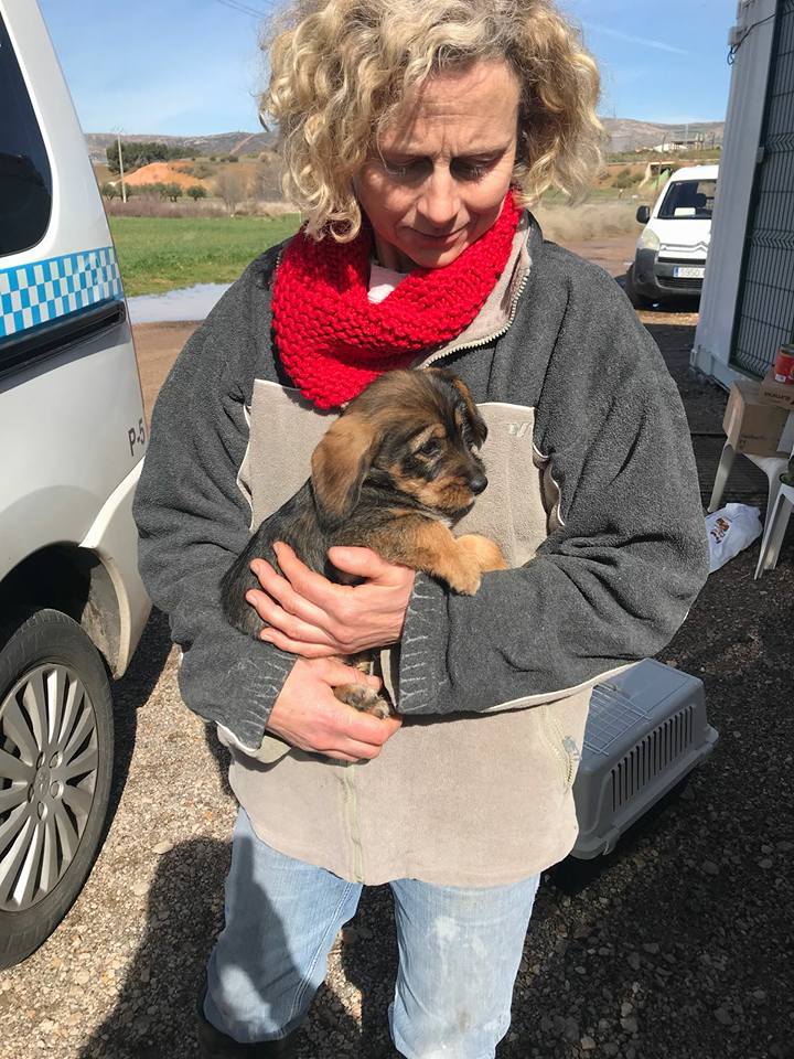 28685210_1868419299848508_7980630171376798396_n