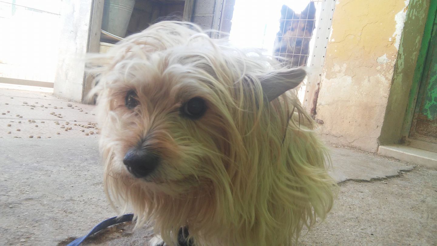 28947794_599541777071892_3276788330072001511_o