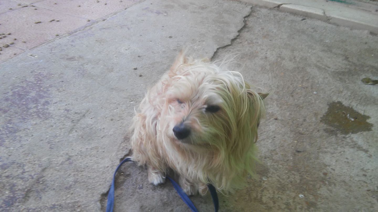 29060233_599541740405229_3325800043458110091_o