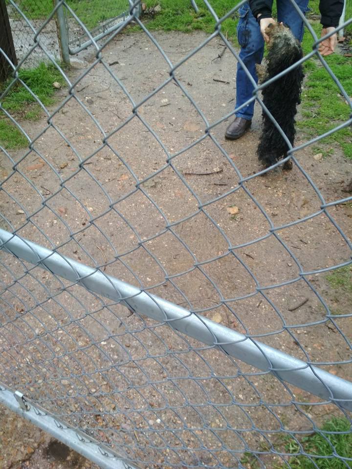 29214439_1879668895390215_4632006981878546432_n