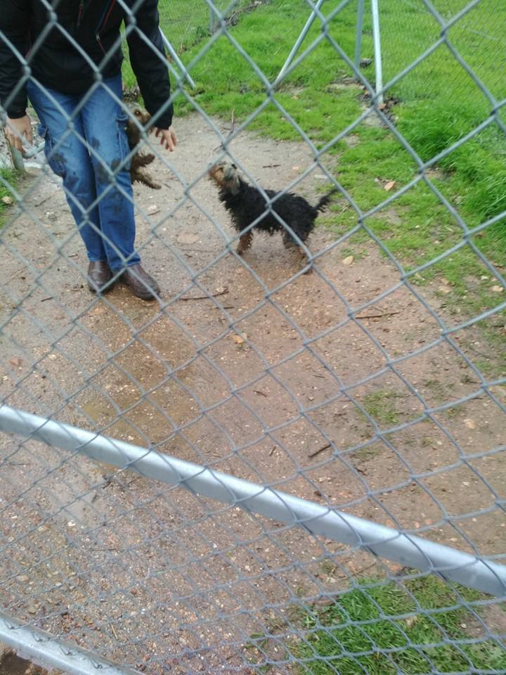 29261427_1879668788723559_7371616339091259392_n