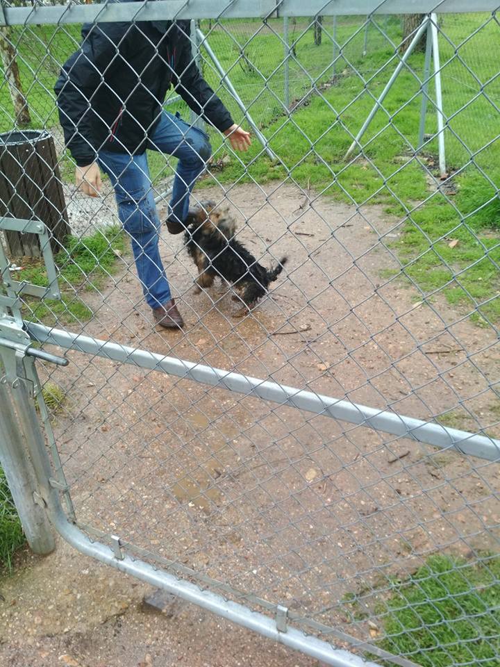 29315149_1879668865390218_3499515953798971392_n