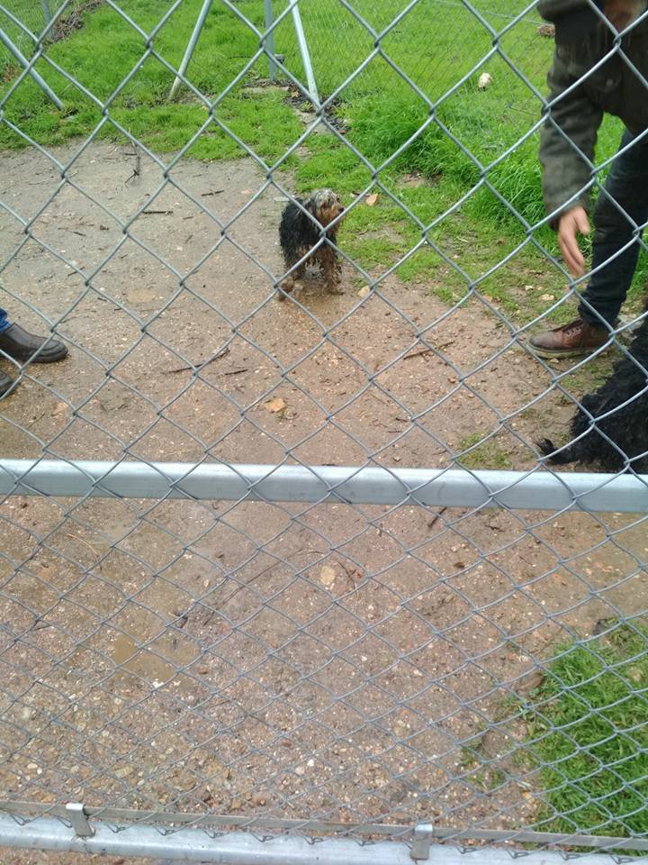 29343258_1879668818723556_7100848458151493632_n