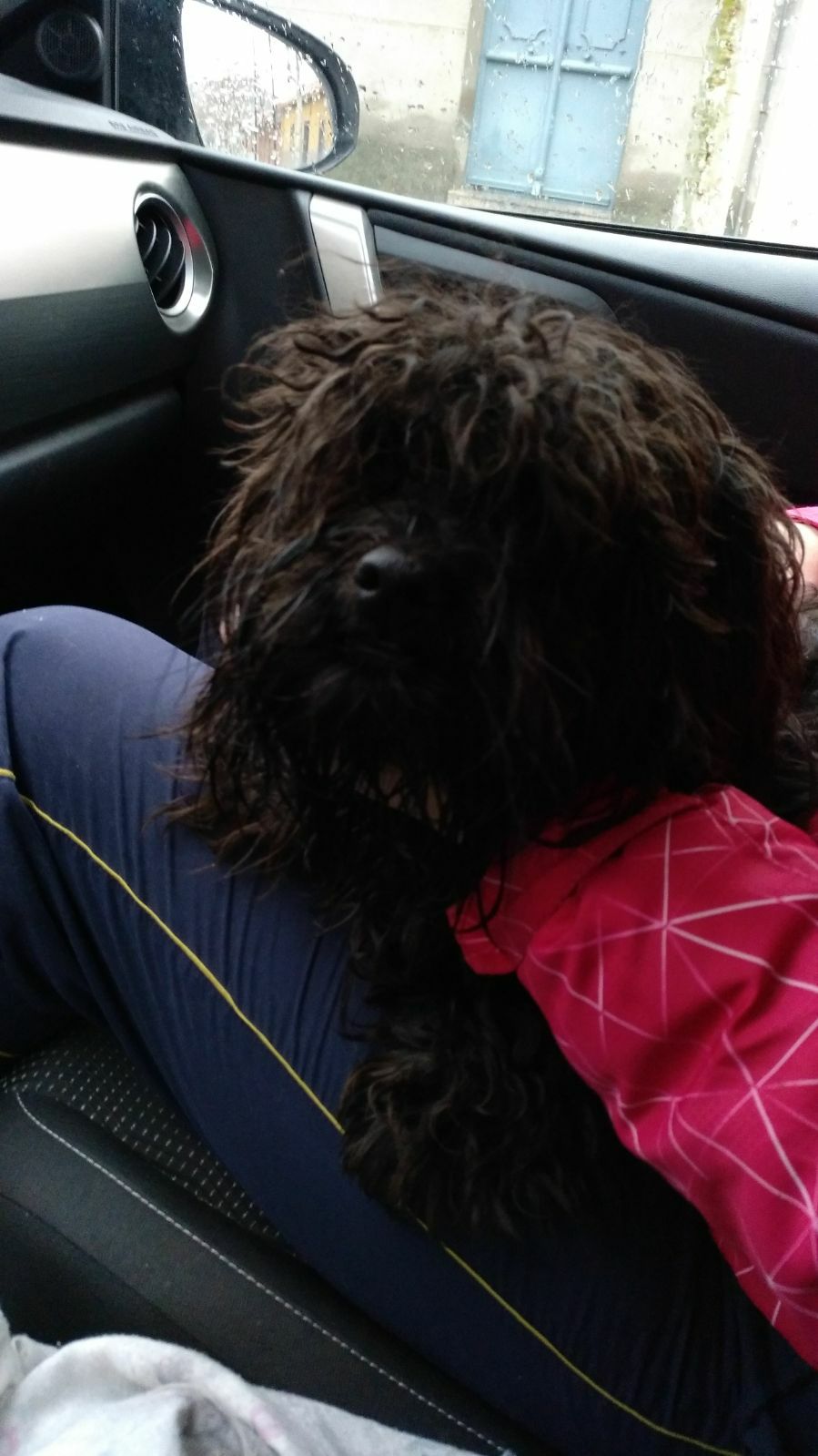 29357137_1879669772056794_1905533537327513600_o