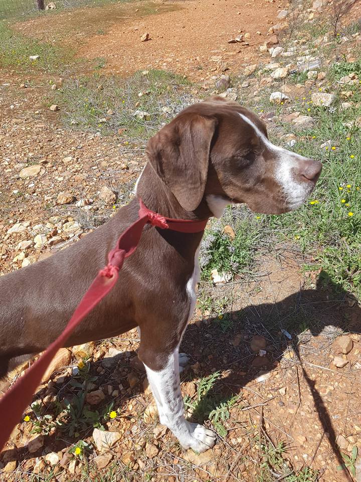 29496892_1883859318304506_1604675798411771904_n