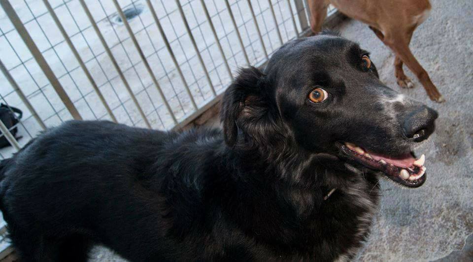 29511239_1886790251344746_6009052961142258239_n