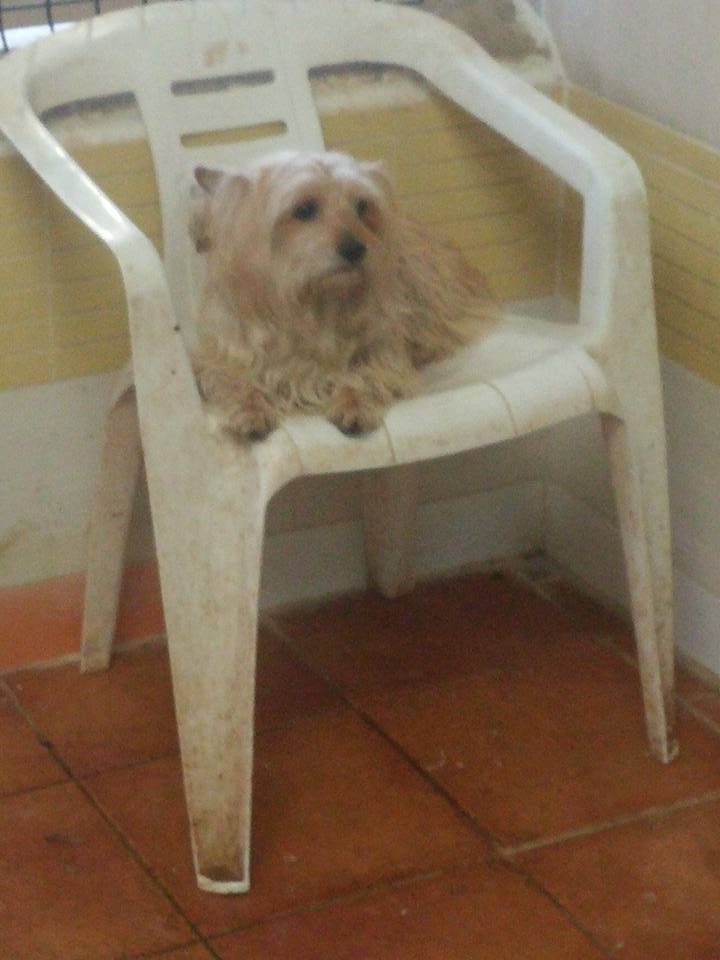 29511366_813064865560838_1747782271241402463_n