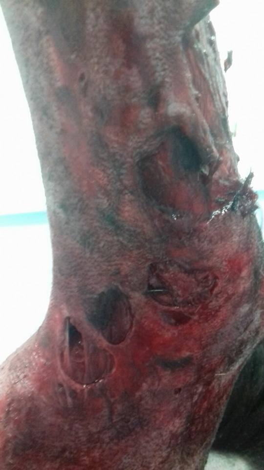 29511560_1886790388011399_1322028931125584153_n