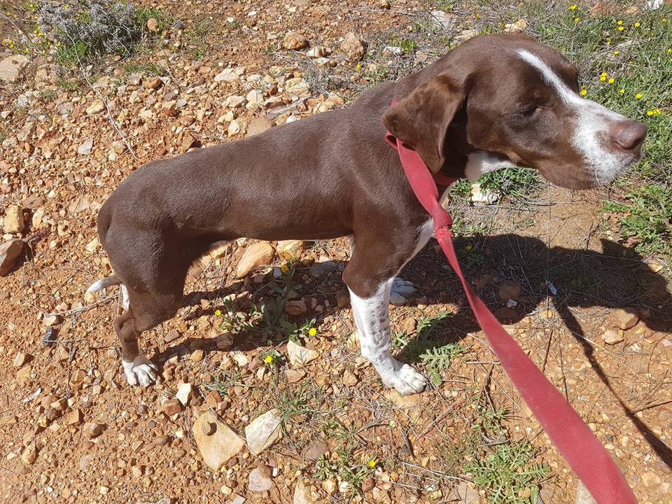 29512406_1883859371637834_1951814236598435840_n