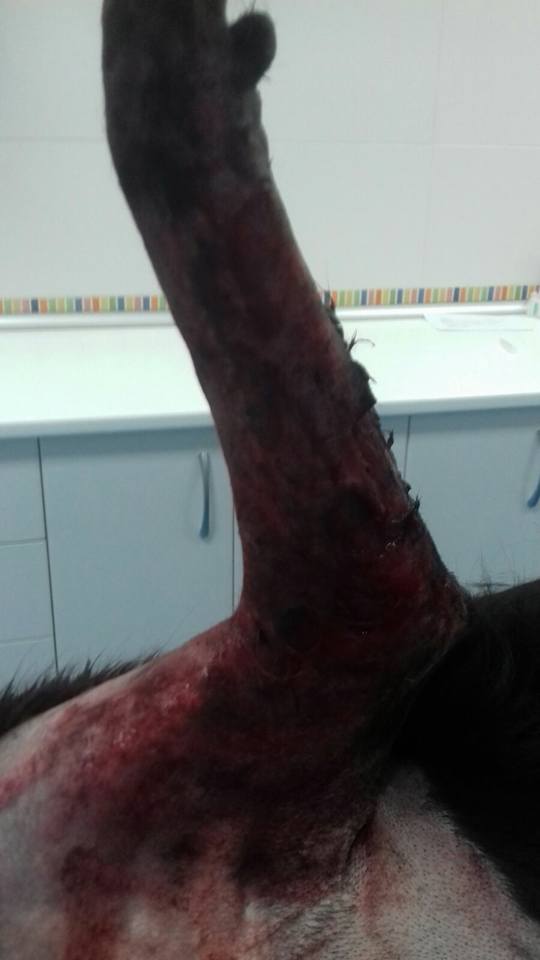 29512842_1886790271344744_4524210961404442542_n