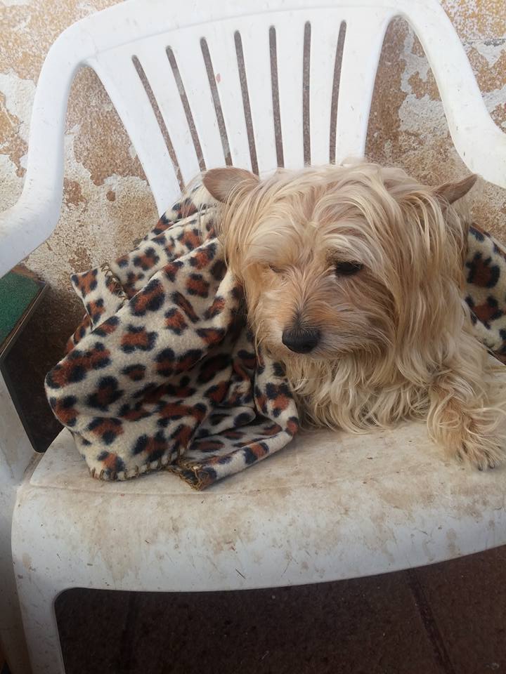 29570459_813064832227508_1488756051864974625_n