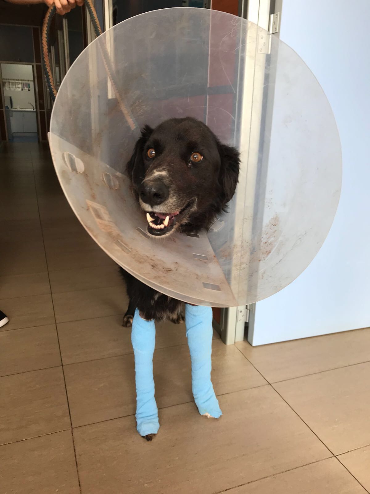 WhatsApp Image 2018-03-24 at 12.17.07