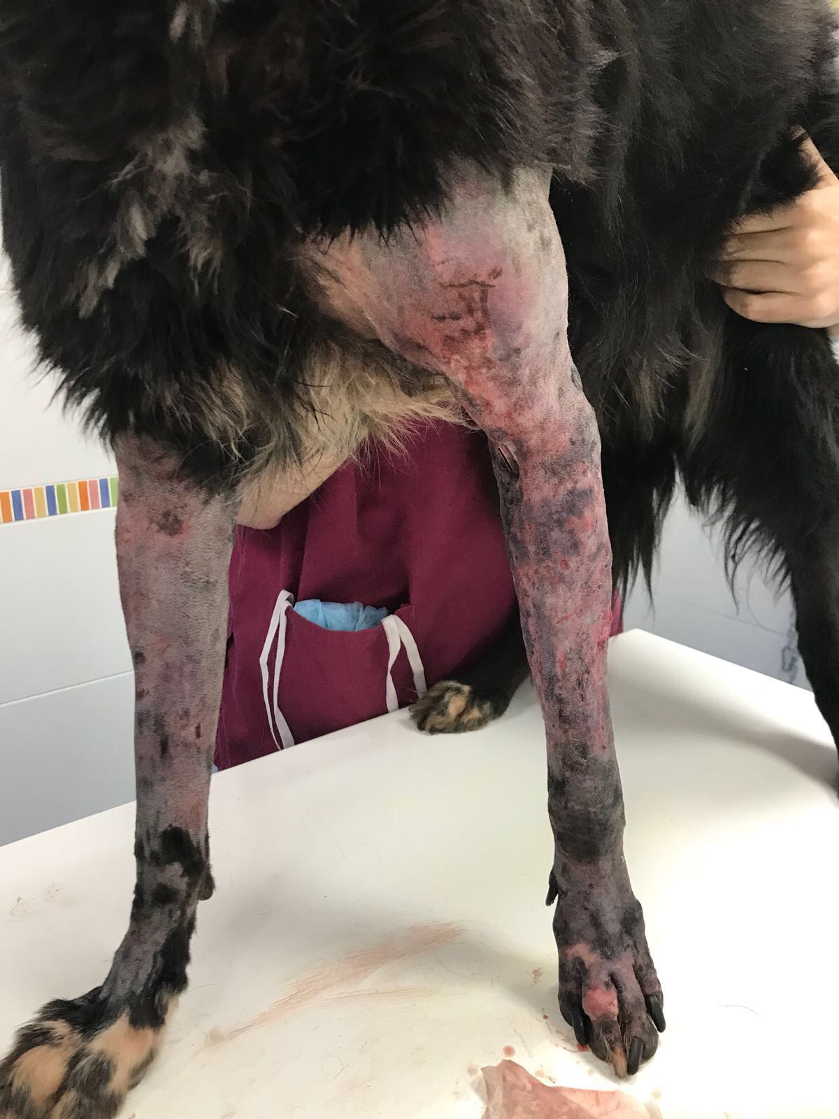 WhatsApp Image 2018-03-24 at 12.17.07(1)