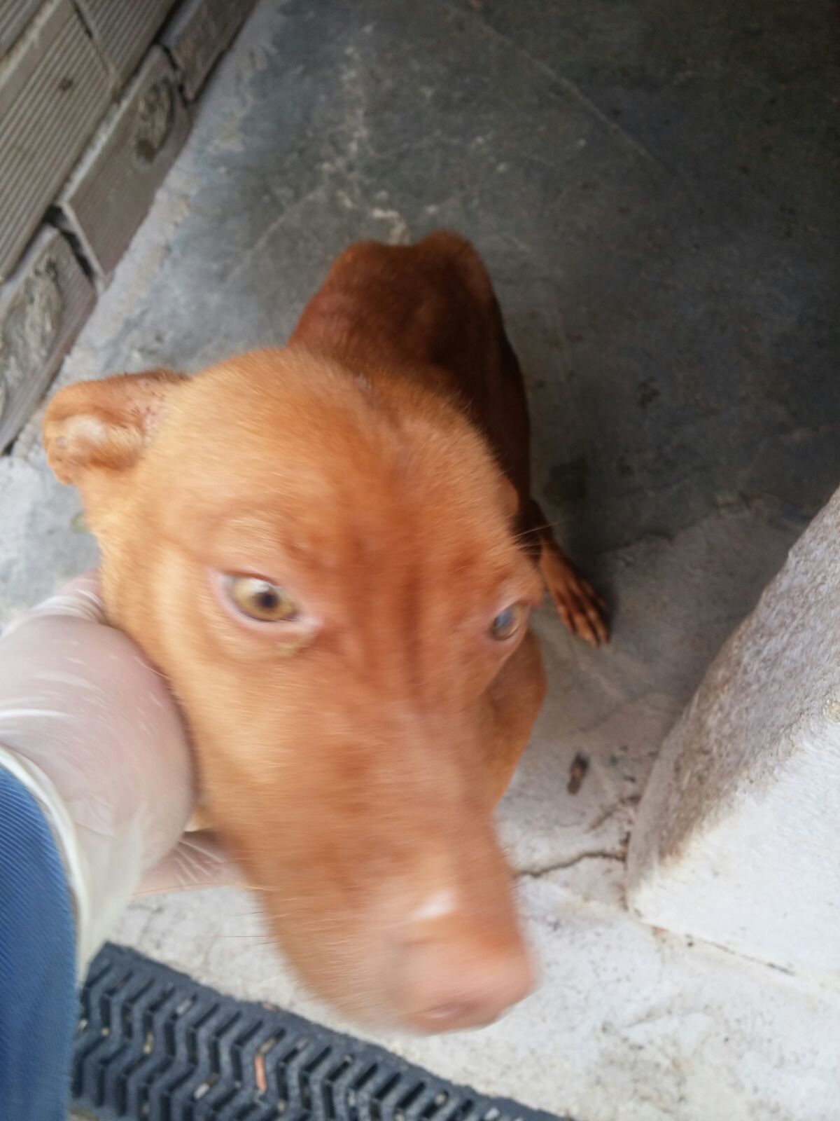 WhatsApp Image 2018-03-29 at 18.24.03