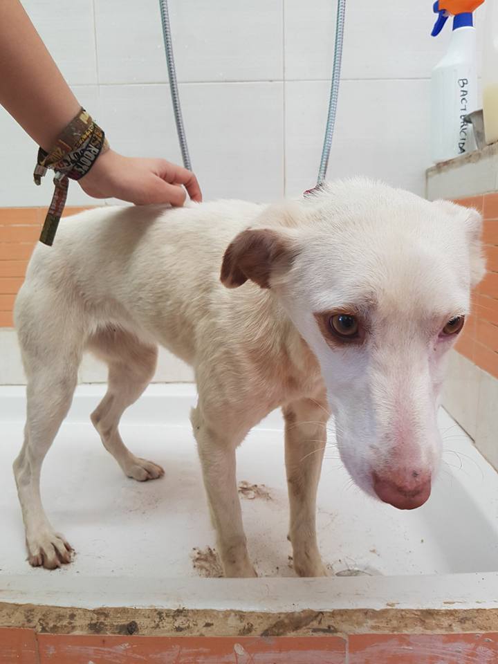 19059842_1895856237104814_6365962526496419714_n