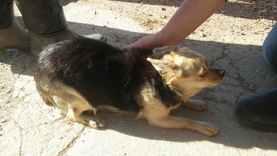 29425928_1895844503772654_8820739730937660574_n