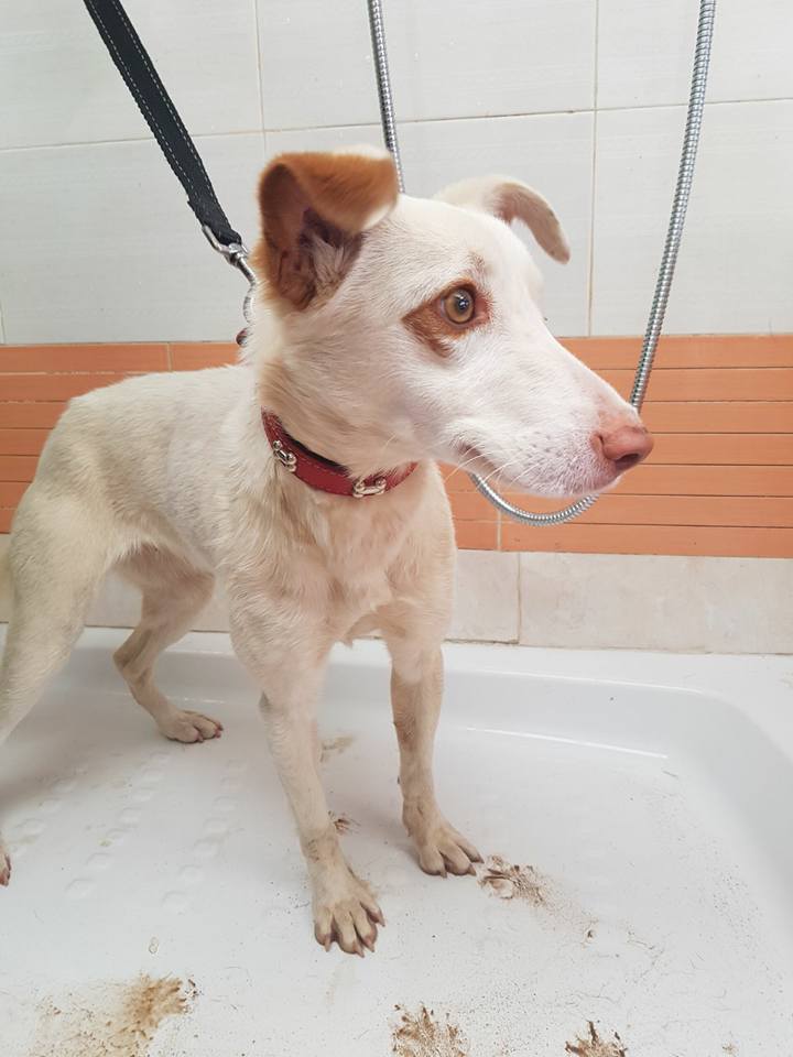 29572953_1895856173771487_5726914059544383681_n